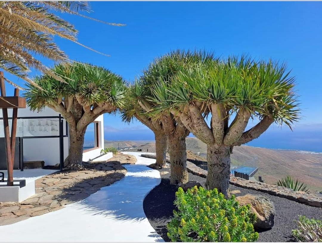 Casa La Tunera, Country House, Haria, Lanzarote ภายนอก รูปภาพ